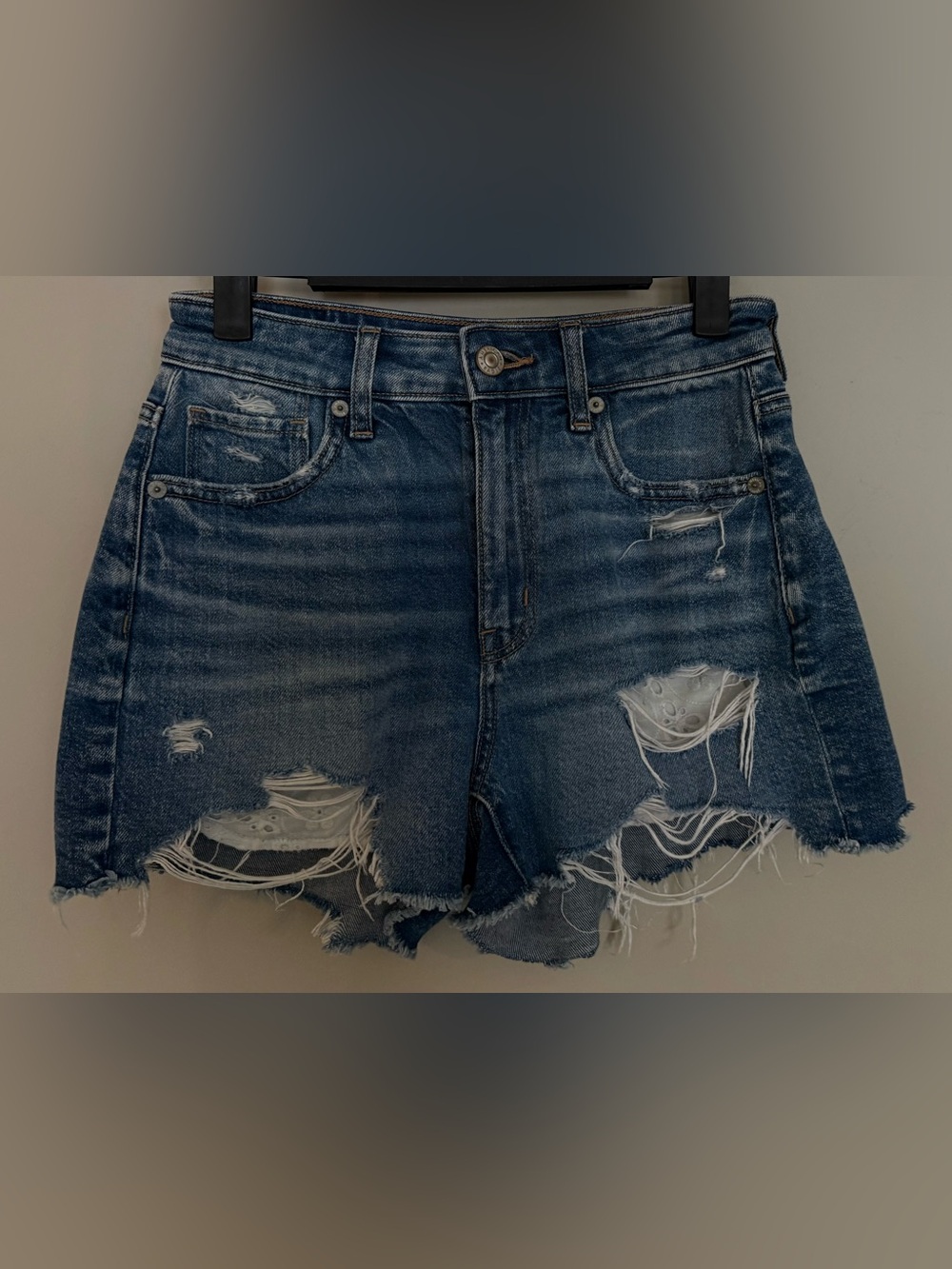 American Eagle Women’s Strigid Ripped Denim Mom Shorts - Size 00